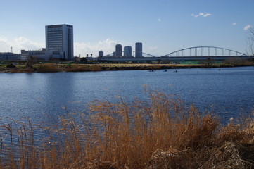 多摩川と多摩川大橋