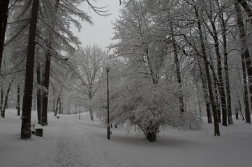park of the Kiev Polytechnic Institute in the snow