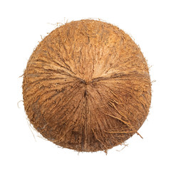 Coconut isolated on white background. Top view
