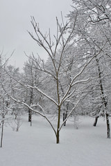 park of the Kiev Polytechnic Institute in the snow