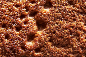 the texture of the bread macro
