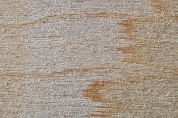 Fototapeta premium old wood wall texture