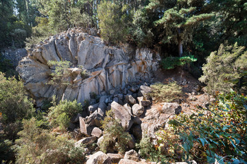 Stone La Rosa in El Teide National Park. Tenerife.