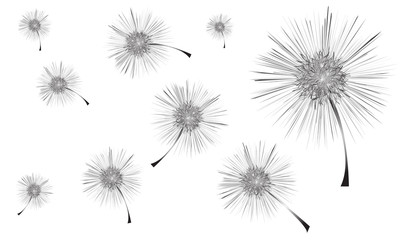 abstract floral background with flowers