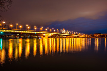 bridge on the danube river in vienna ,night time 