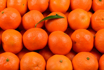 Mandarin orange background.