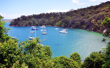 Taylors Bay, Sydeny Harbor National Park coastal walk, Sydney, Australia