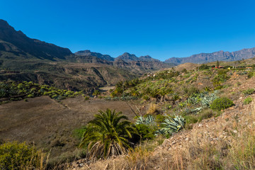 Canary islands gran canaria sunny day