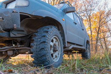 Wheels off-road car standing on the grass in the forest