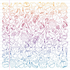 Healthy food and cooking. Fruits, vegetables, household. Doodle vector set.