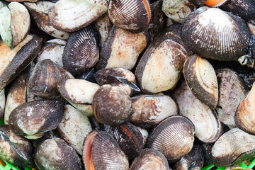 Shellfish,Fresh seafood in fish market