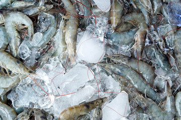 Close up image of Fresh shrimp