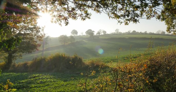 Autumn colors near Hardwick Park, Derbyshire, England, United Kingdom, Europe  