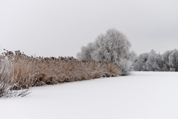 Winter weather. White snow covered the ground. copy space