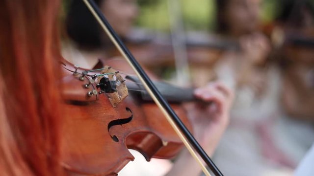 Closeup of girls hand playing on violin. Music outside. Wedding ceremony