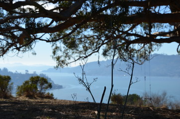 Landschaft Insel Küste Bucht 