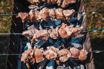 juicy ruddy kebabs on the grill.