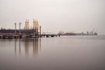 Containership being unloaded at the Port of Amsterdam by cranes