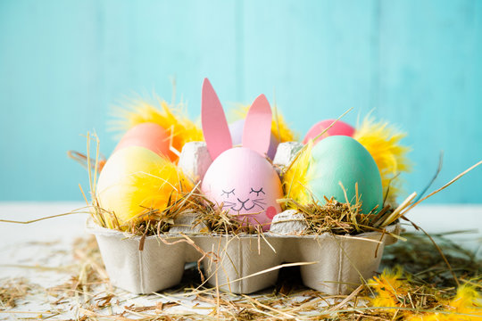 Cute and funny easter eggs in a egg box