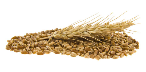 kernels isolated on white background