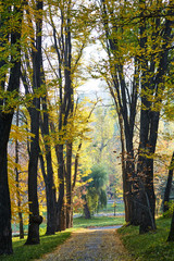 Valea Morilor park in autumn season