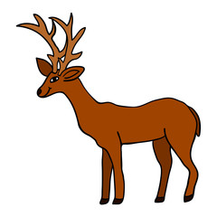 Cartoon doodle linear deer isolated on white background. Vector illustration.