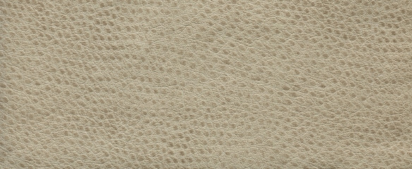 A textured light brown leather background for designers