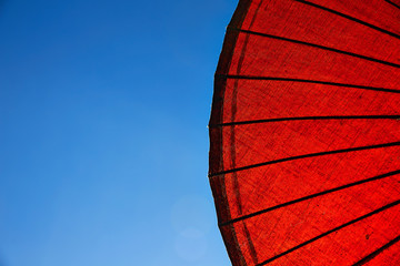 Abstract close up of a red sun umbrella with a blue sky