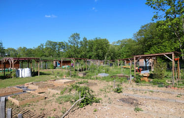 allotment gardens