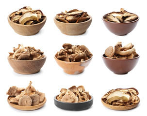 Set of different dishware with dried mushrooms on white background