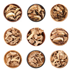 Set of different bowls with dried mushrooms on white background, flat lay