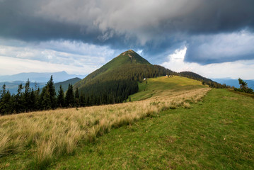 Panoramic view of green grassy valley, pine trees and rural small peasant huts at foot of distant...