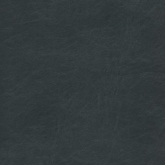 Black leather textured background.