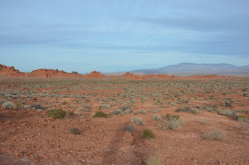 Landschaft Felsen Insel Meer