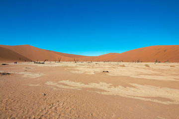 Fototapeta na wymiar Namibia Namib desert Deadvlei