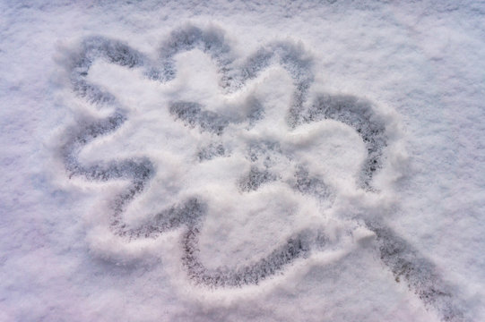 Waiting for spring, oak leaf symbol drawn in snow