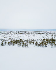 Winter trip through the Yelnya Bog National Landscape Reserve, Belarus