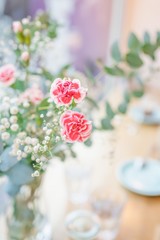 Little red carnation flowers on the pastel background