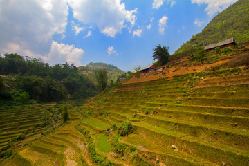 Hütte an den Reisterassen in Vietnam Sapa