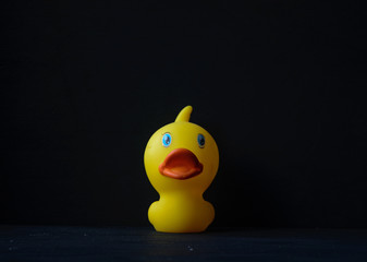 Yellow rubber ducks on black background