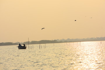 Fototapeta premium sunset on a lake