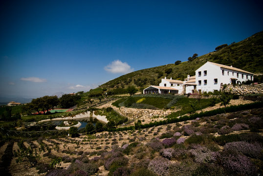 Country Hotel