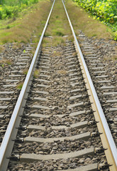 Fototapeta premium 線路 素材