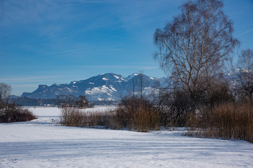 Obraz premium Winter im Ruggeller Riet, Liechtenstein, Rheintal