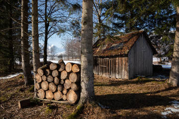 Winter im Ruggeller Riet, Liechtenstein, Rheintal