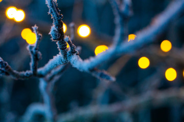 Frozen winter branch with blurry lights in the background