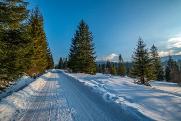 lesna droga, zimowy krajobraz