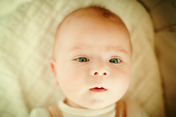 Beautiful little boy newborn portrait, laugh, surprise