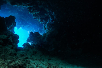 Caves of Claudia Reef at the Red Sea, Egypt