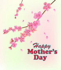 Mother's day card on a white background pink spring flowers on tree branches